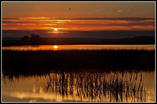 Barbour RIver Sunrise 